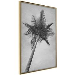 Arkiio Affisch High Palm Tree [Poster] 30x45 Poster